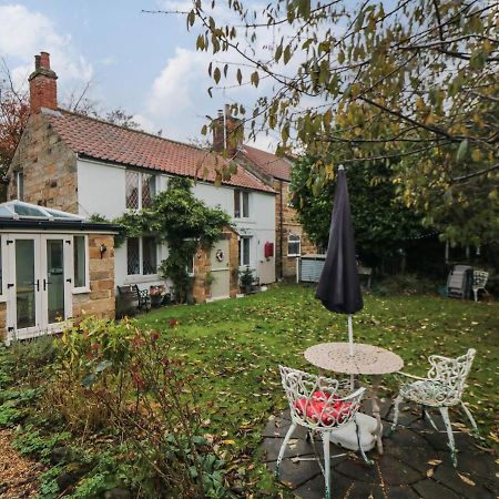 Laurel Cottage Гисборо Экстерьер фото
